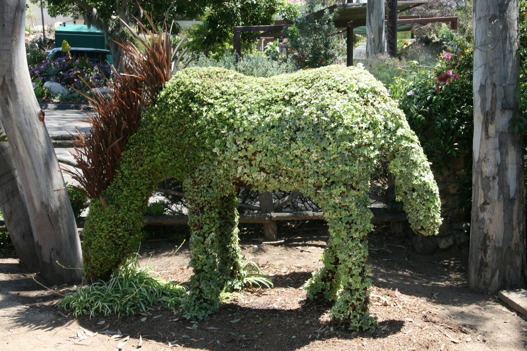 topiary horse sculpture