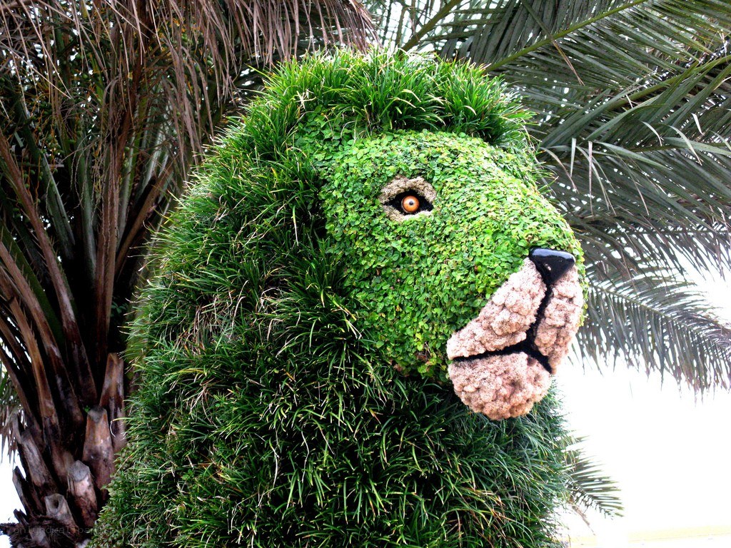 topiary lion sculpture