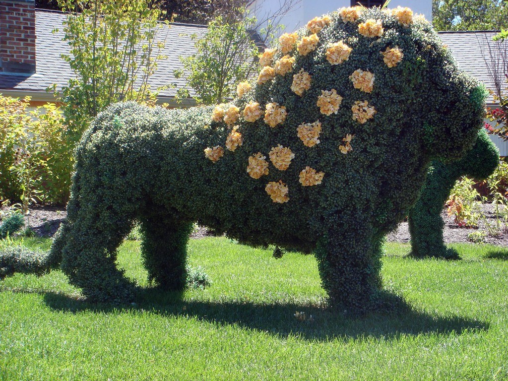 topiary lion with flowers