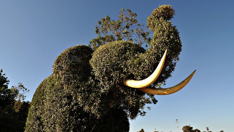 Topiary mammoth sculpture