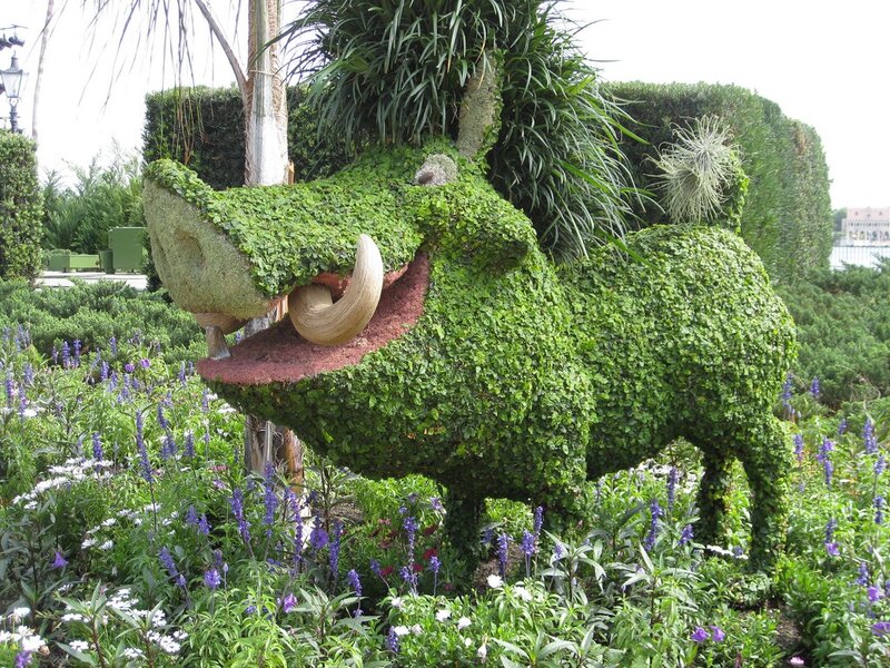 Topiary of a wild boar