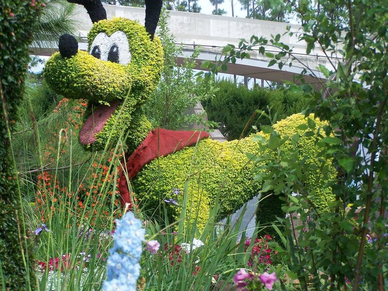 Topiary of Goofy in a garden