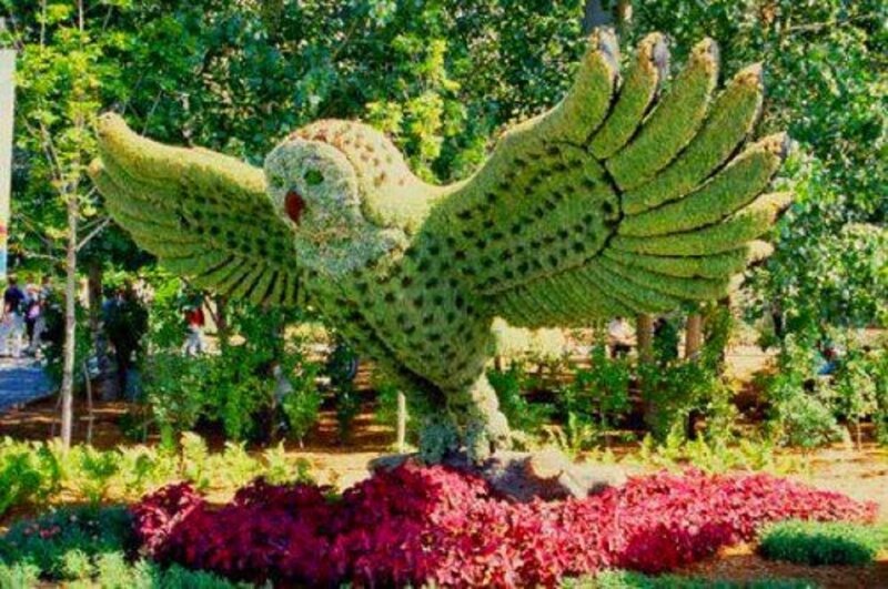 Topiary Owl Sculpture