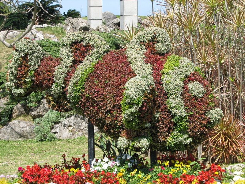 topiary sculpture in garden