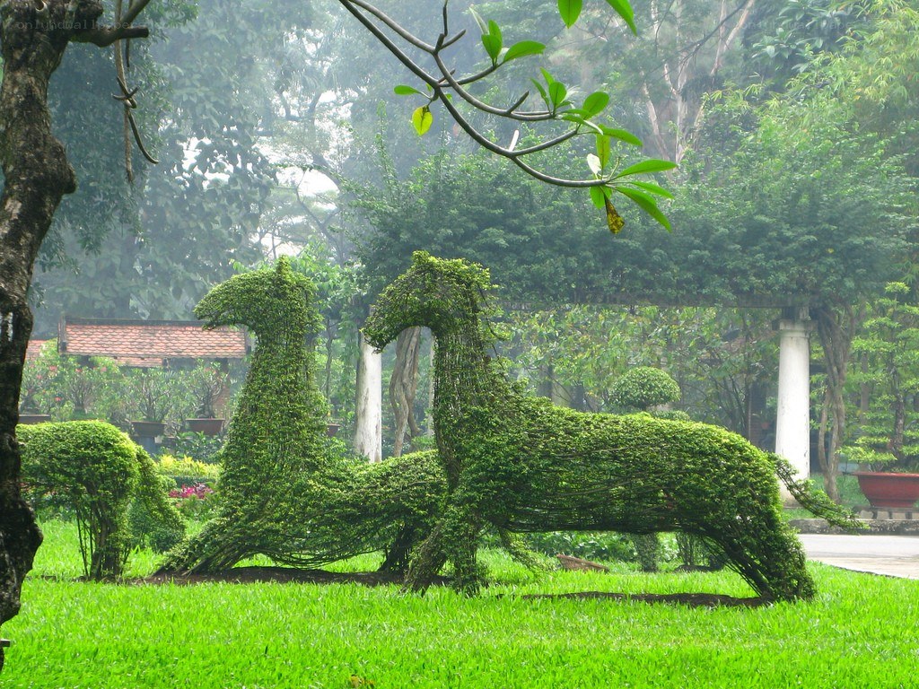 Topiary sculptures in a garden