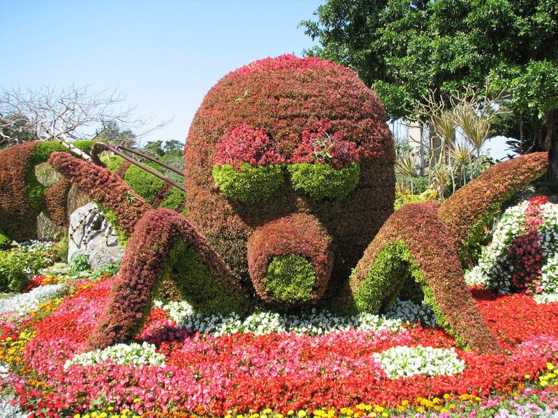 Topiary spider sculpture