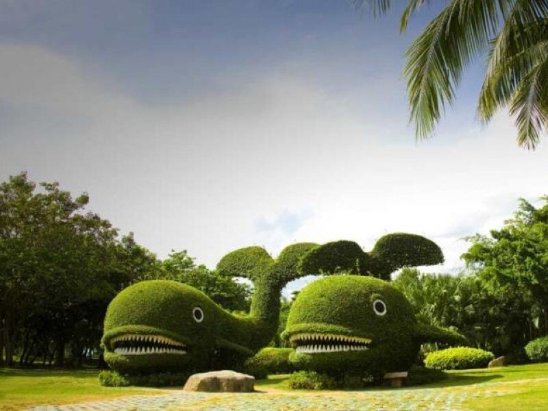 Topiary whale sculptures