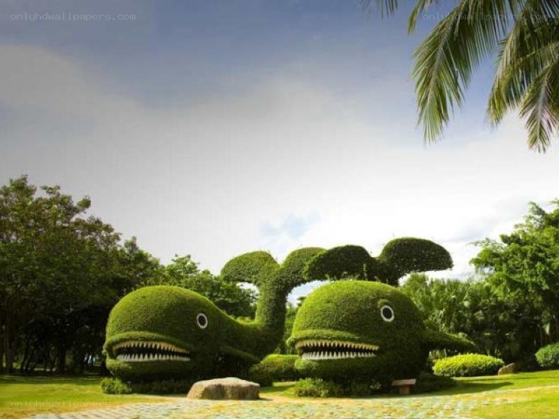 Topiary whale sculptures