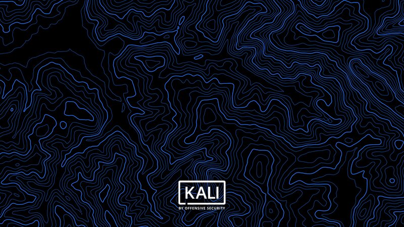 Topographic Map Pattern