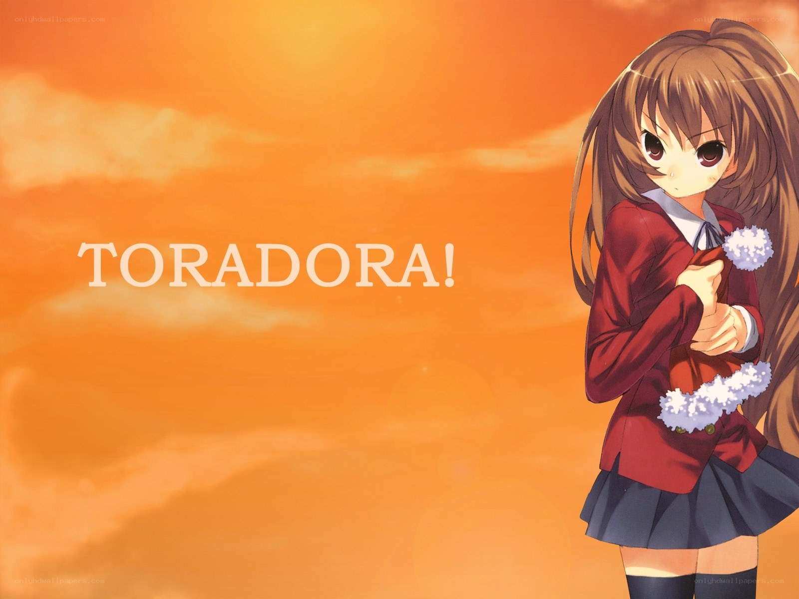 Toradora! anime character