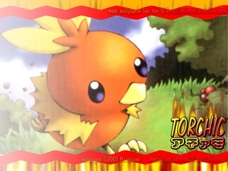 Torchic Pokémon wallpaper