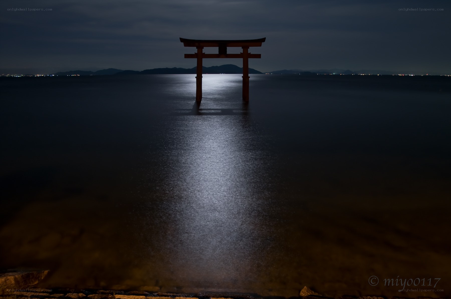 Torii gate at night