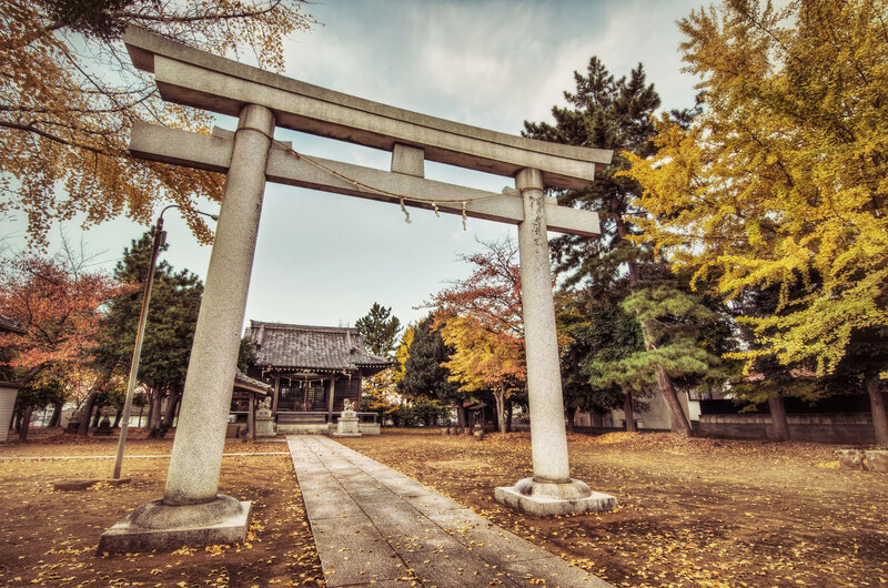 Torii Gate at Shrine — Yellow