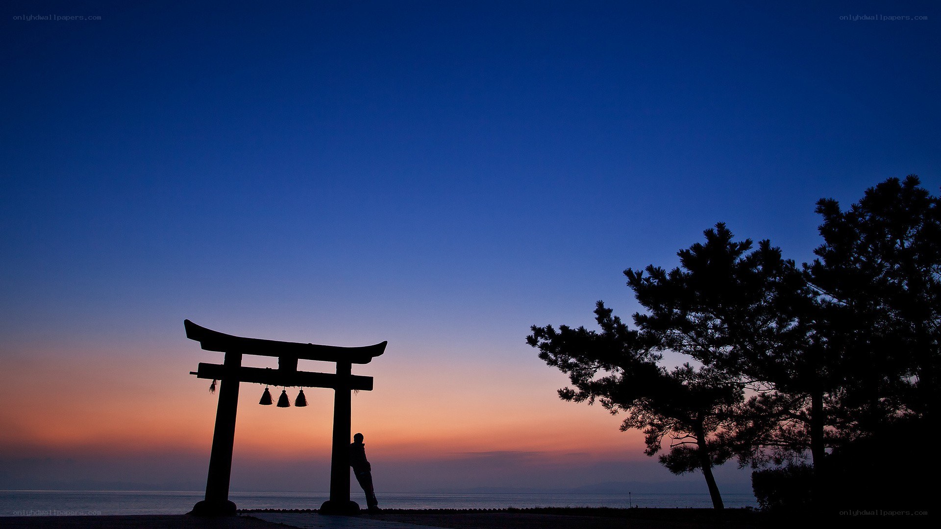 Torii gate at sunset