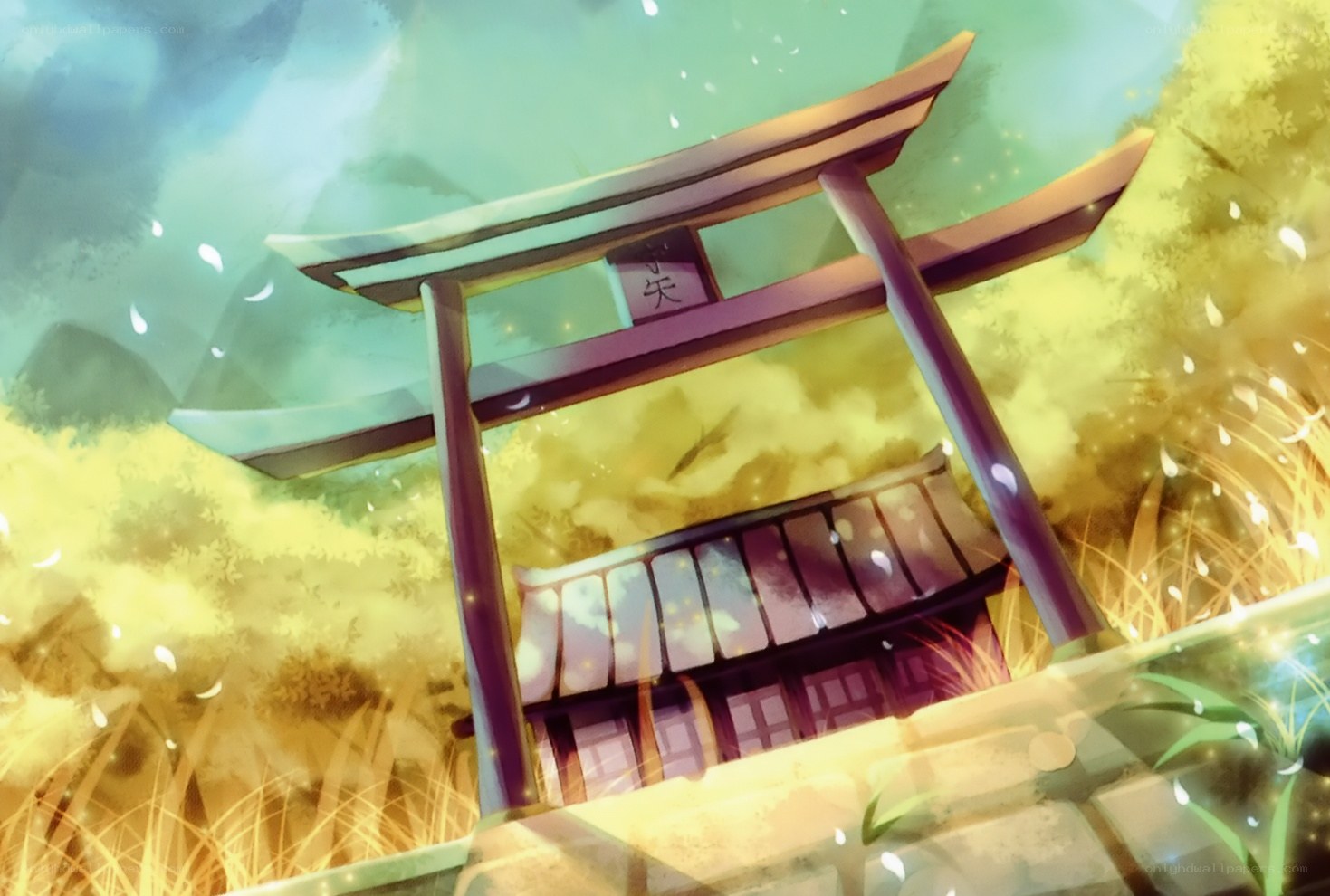 Torii gate at sunset