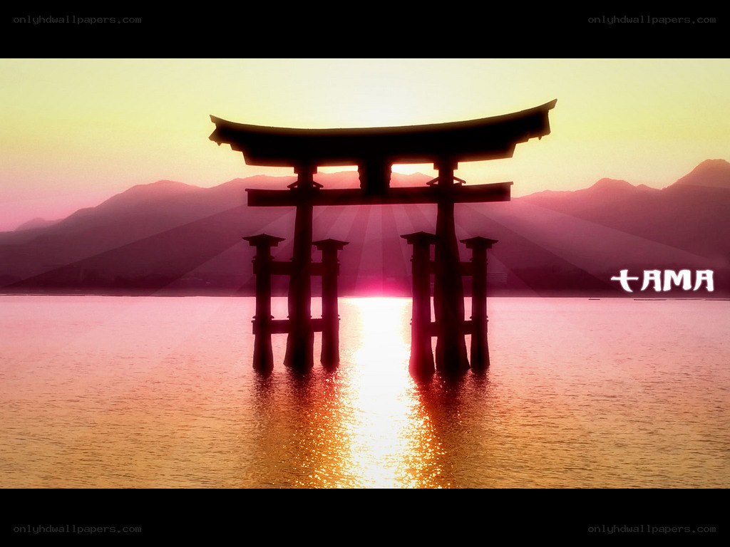 Torii gate at sunset