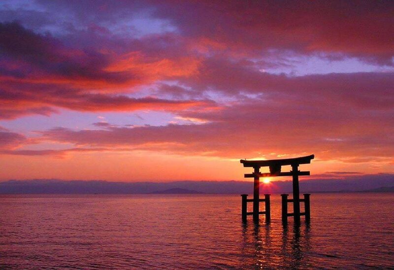 Torii Gate in Water — Purple