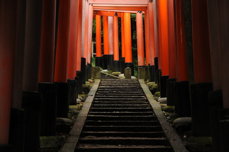 Torii gate pathway