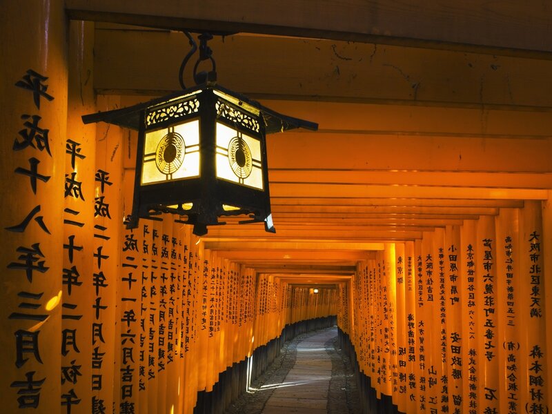 Torii Gate Tunnel — Orange, Serene