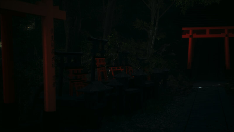 Torii Gates in Forest