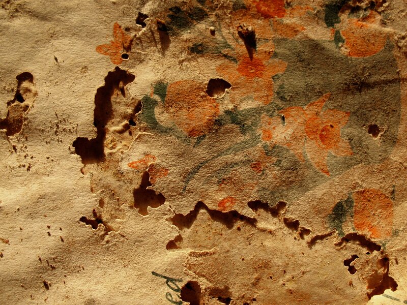 torn paper with floral pattern