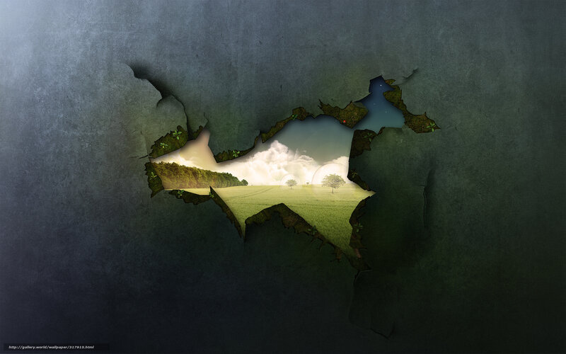 Torn Wall Reveals Nature