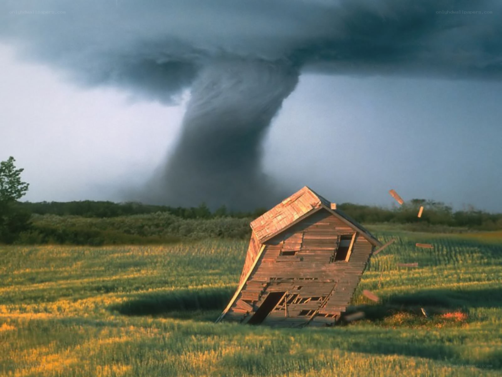 Tornado destroys house in field