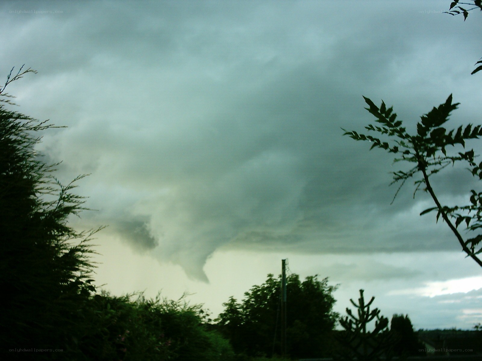 Tornado forming in storm clouds