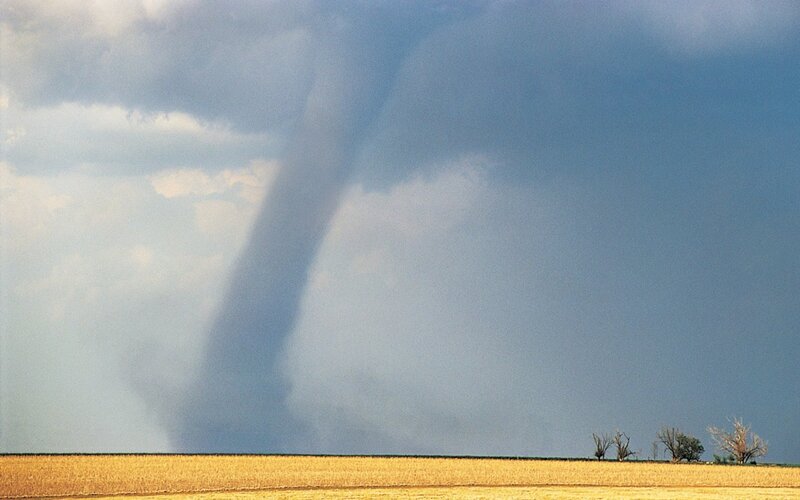 Tornado over a cornfield