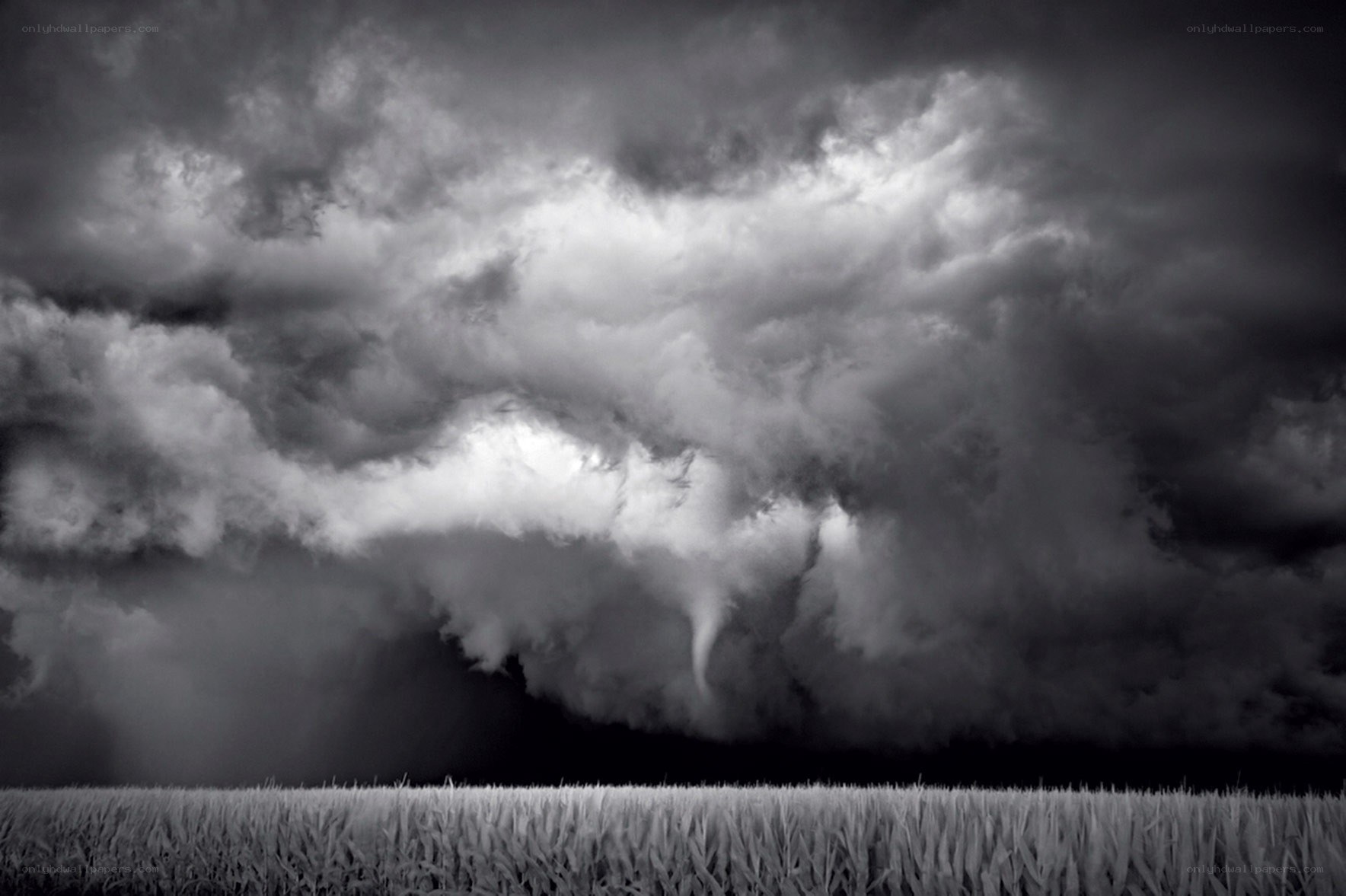 Tornado over a cornfield