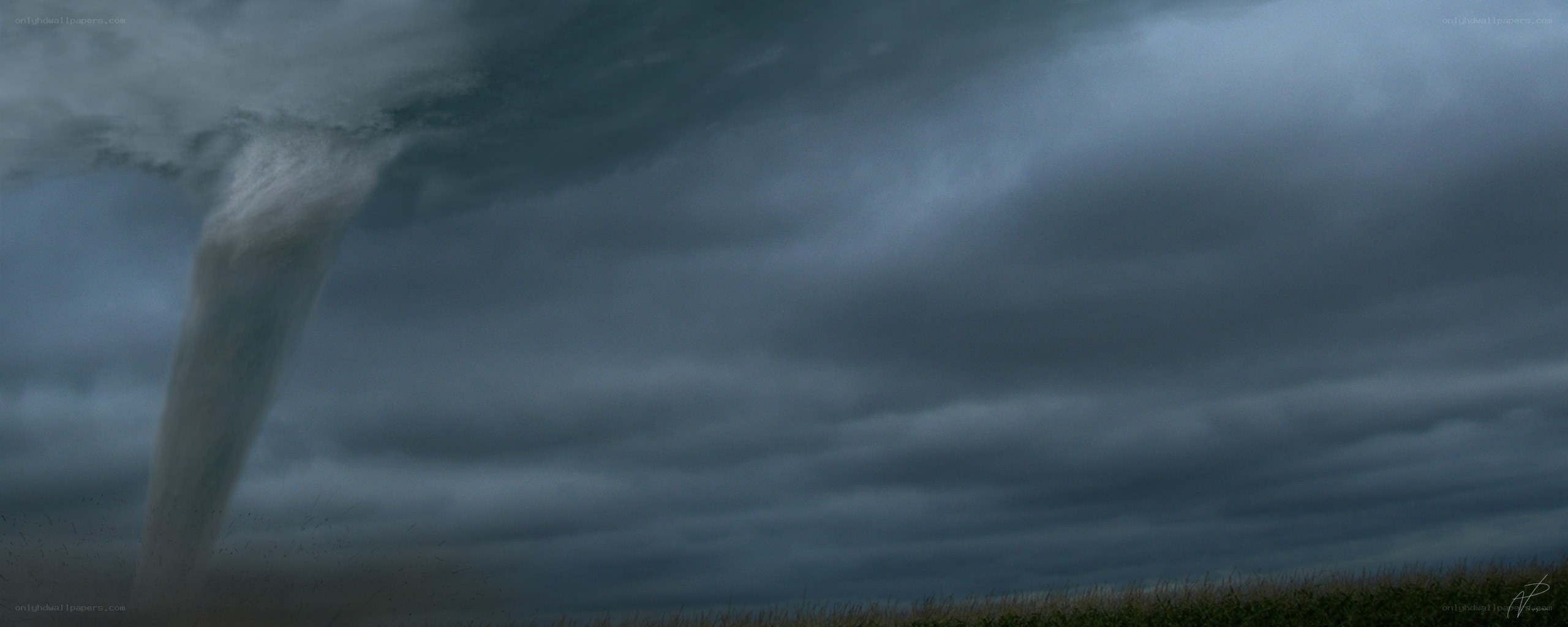 Tornado over a field