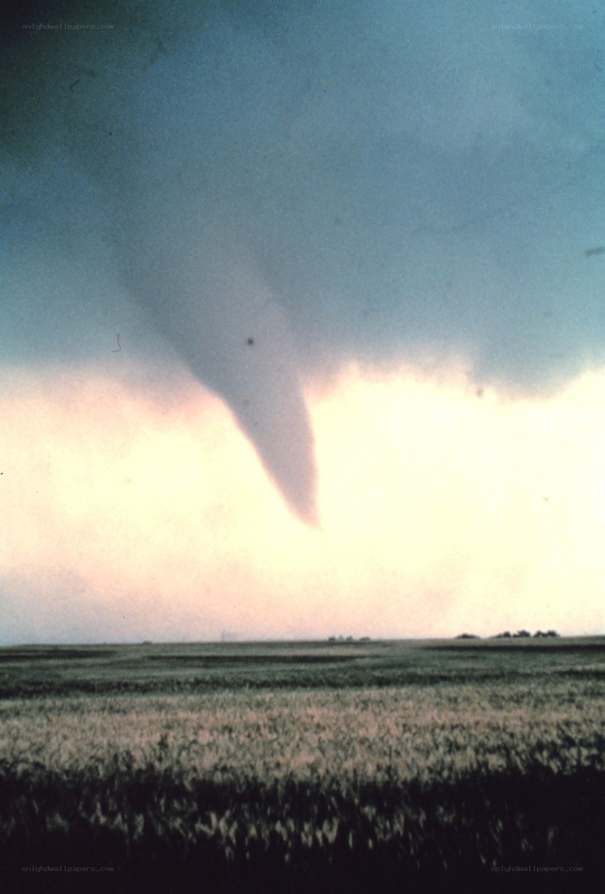 Tornado over a field