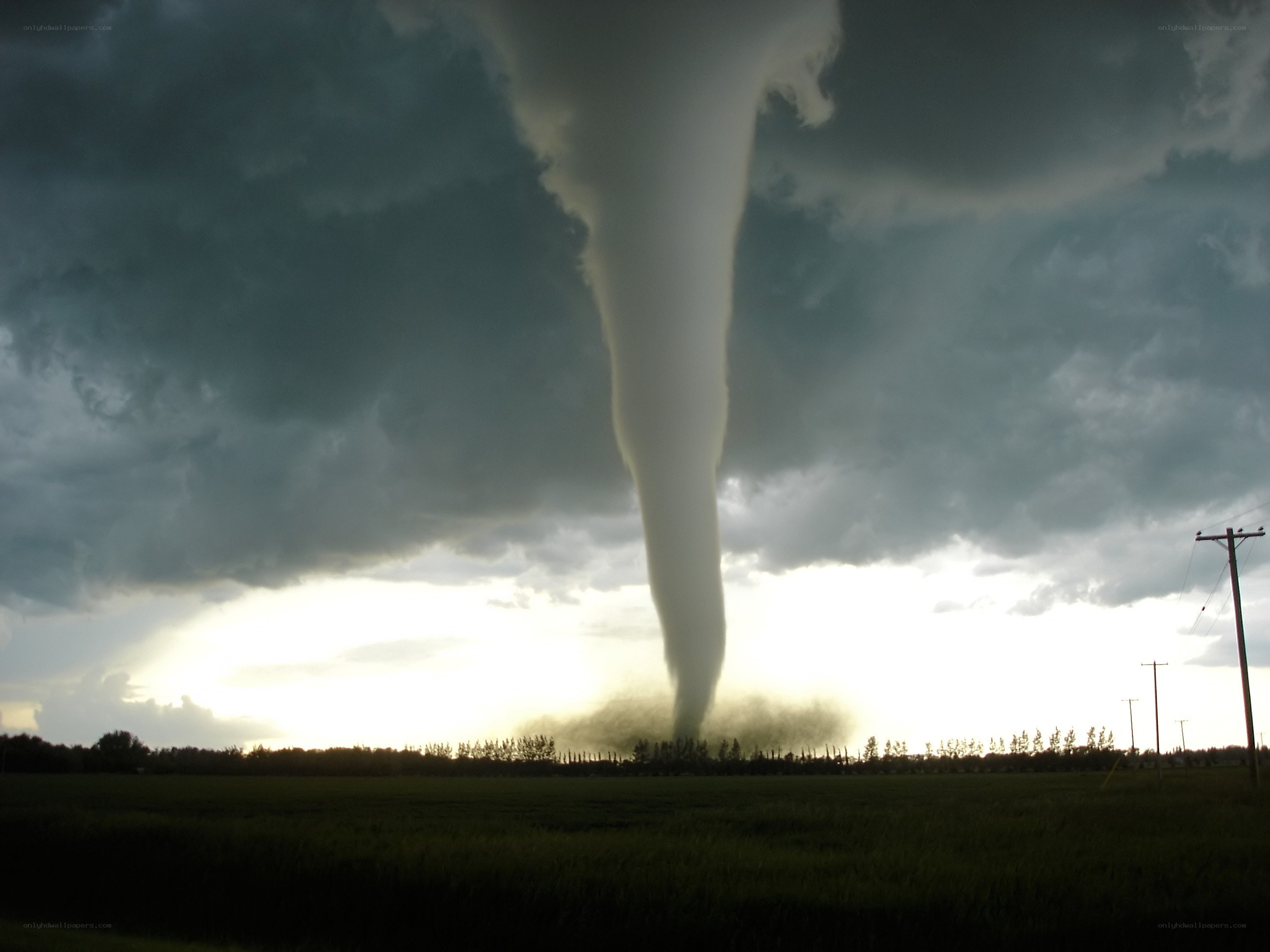 Tornado over a rural field