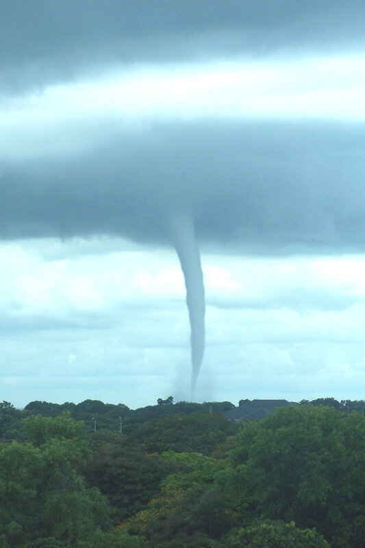 Tornado over a treed landscape