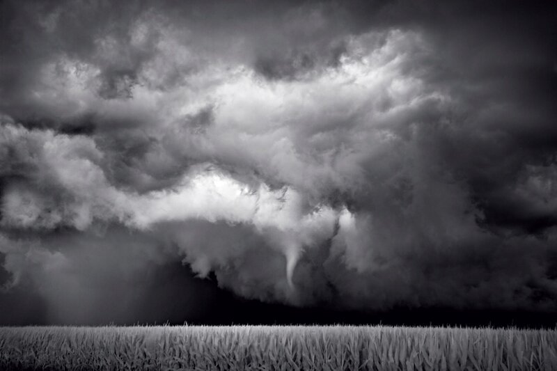 Tornado over Cornfield — Black