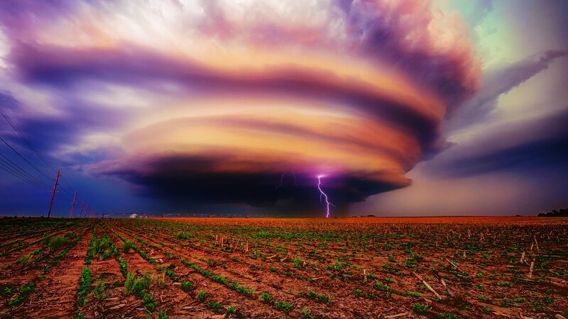 Tornado over Field — Purple