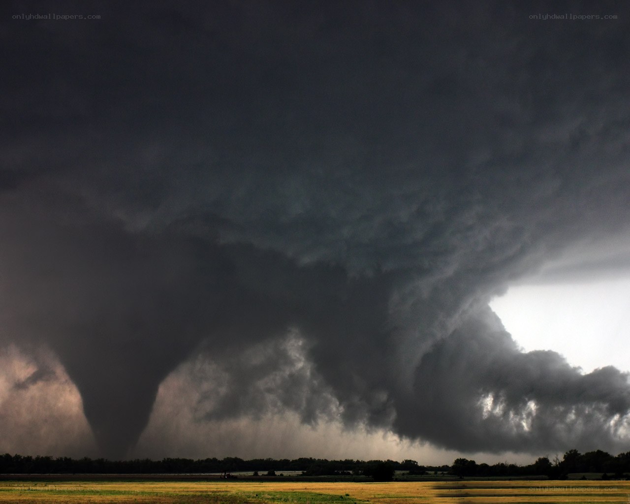 Tornado over rural landscape