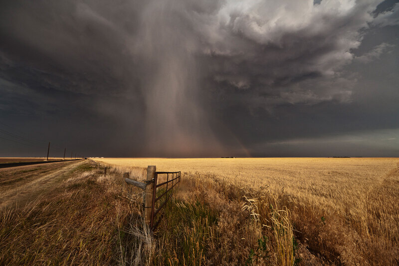 Tornado over Wheat Field