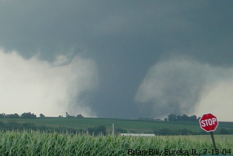 Tornadoes over cornfields