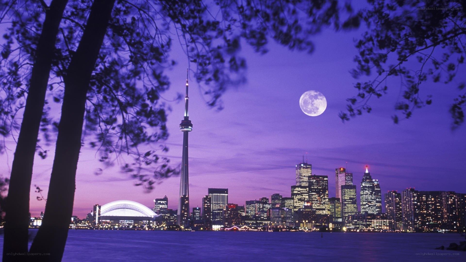 Toronto skyline at dusk
