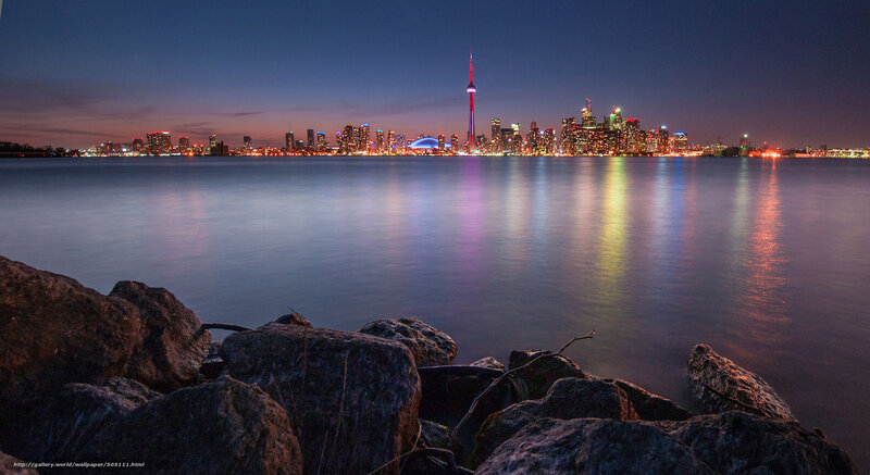 Toronto Skyline at Night — Blue, Serene, Photograph, Cn Tower, Buildings