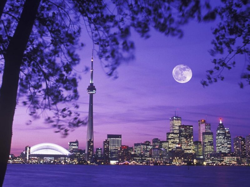 Toronto Skyline at Night — Purple, Serene