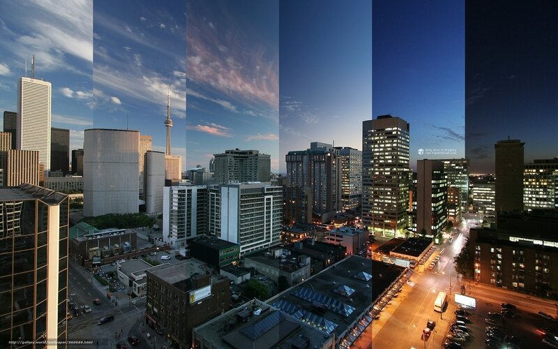 Toronto Skyline — Blue, Dramatic, Night, Photograph, Buildings