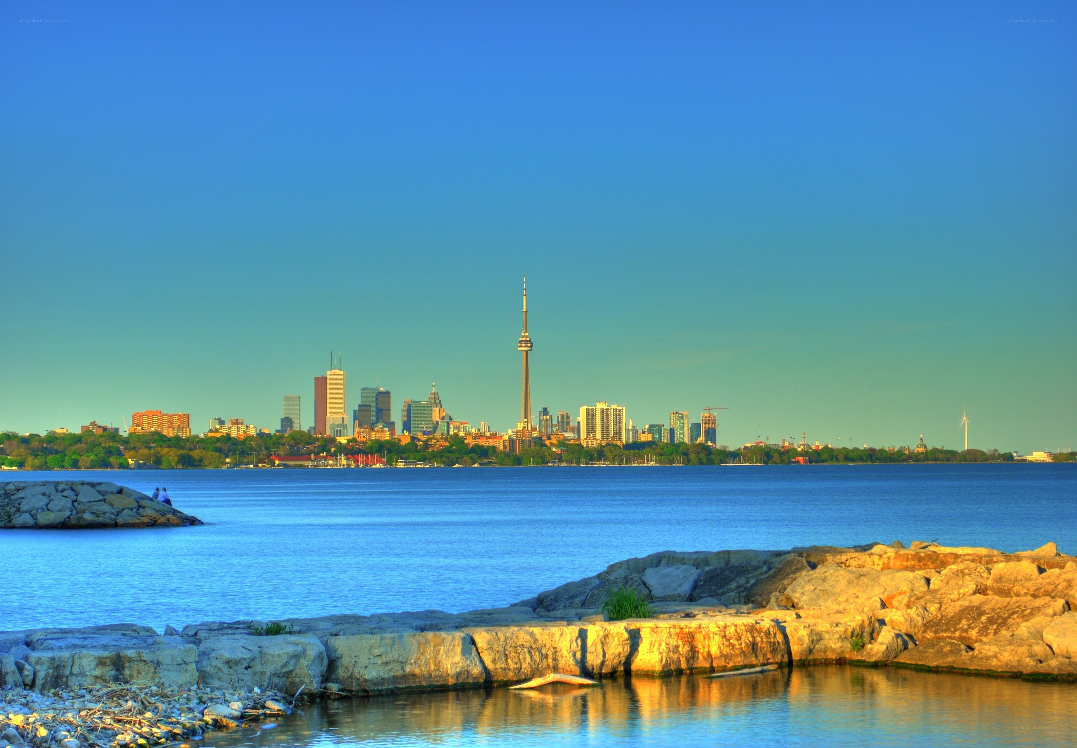 Toronto skyline from the waterfront