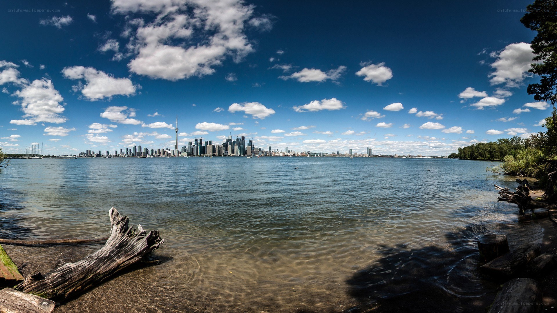 Toronto skyline from waterfront