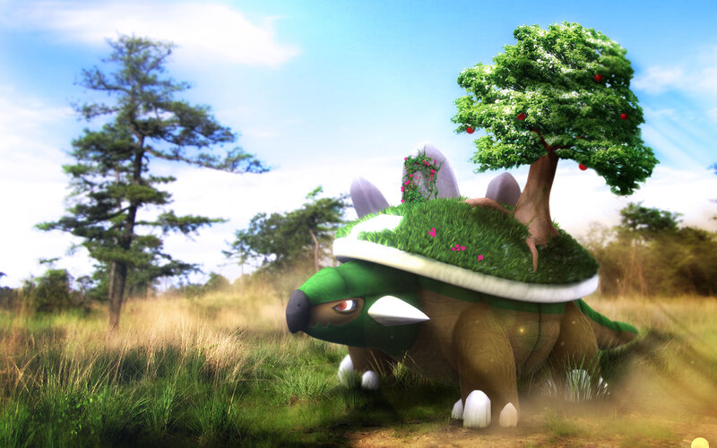 Torterra in a Field