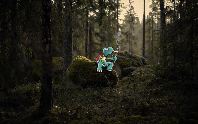 Tortoise Character in Forest
