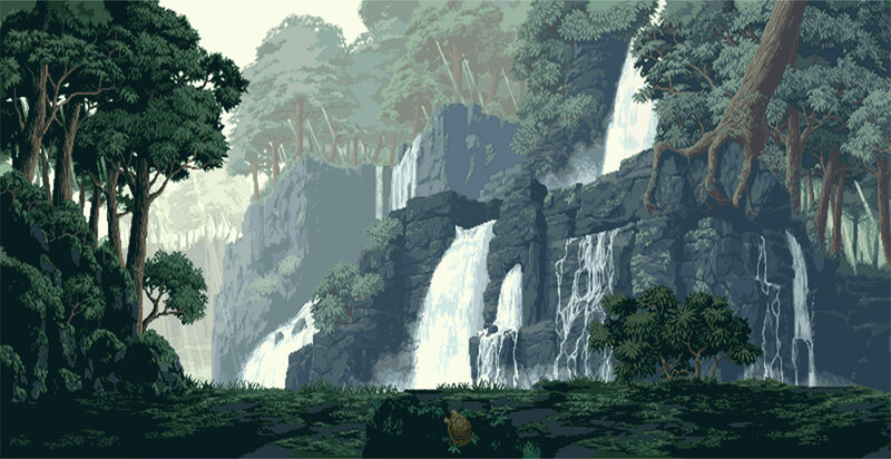 Tortoise in Forest