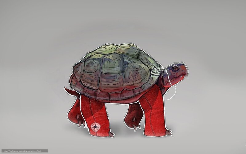 tortoise in red pants