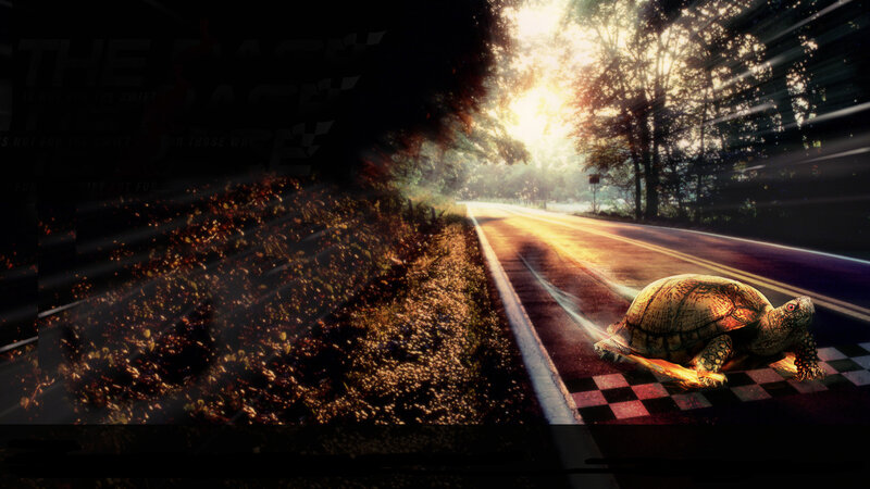 tortoise on a race track
